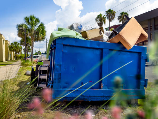 Best Basement Cleanout Services  in La Follette, TN